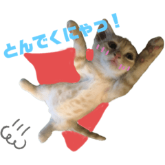 KaZuKi_20190901183420