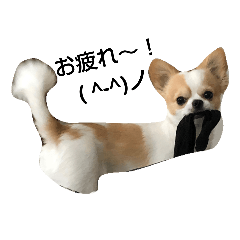 KEN_20190901202958