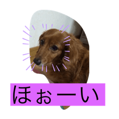 moko_20190901204907