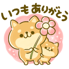 あったか 豆柴 日和 Line スタンプ Line Store