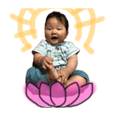 midori_20190901213640