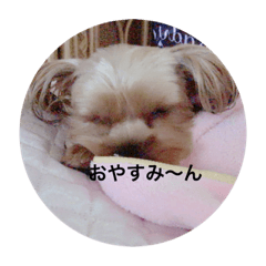 Shirley_20190901220210