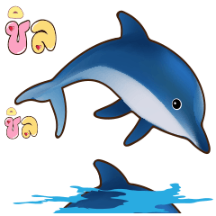 Dolphins Ocean