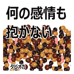 tapioca balls's sticker japanese ver14
