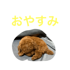 Ryota_20190901220919