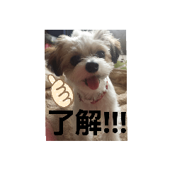sumire_20190901225950