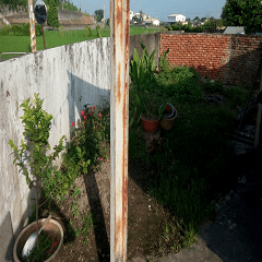 Beautiful vegetable garden at home