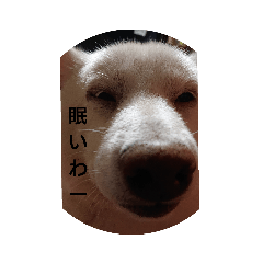 hana_20190901224935
