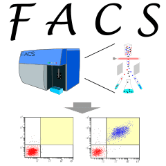 フローサイトメトリー Facs スタンプ Line スタンプ Line Store フローサイトメトリー Facs スタンプ Line スタンプ Line Store