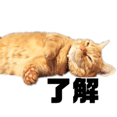 iam_20190902091927