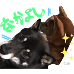 chachamaru&raramaru 2