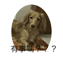 哇阿麥仔啦！