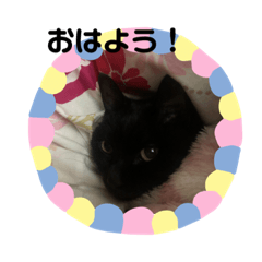 mizuki_201909021506012