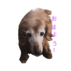 aoi_20190902152450