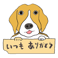 021 Beagle dog + Words to praise