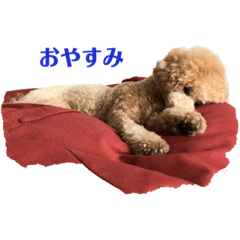 OMAME_20190902114735
