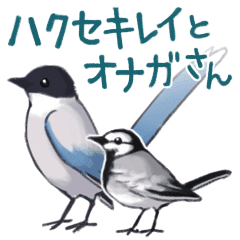 ハクセキレイとオナガさん Line スタンプ Line Store ハクセキレイとオナガさん Line スタンプ Line Store