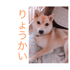 mame_20190902210332
