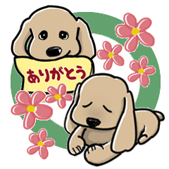 Lovely and funny dogs Sticker3