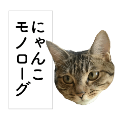 cat monologue FUTARO&MUGI
