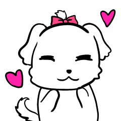 Maltese and cat