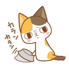 My cat Milk