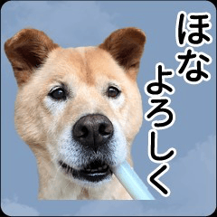 ARKなしっぽ_関西弁犬