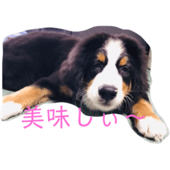 ricky_20190902223104