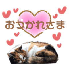 Michael_20190902222044