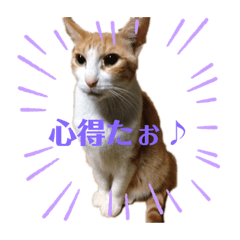 nozomi_20190903003008