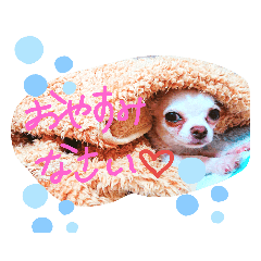 chi_20190902225525