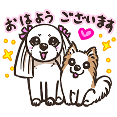 White Shih Tzu and Chihuahua Sticker