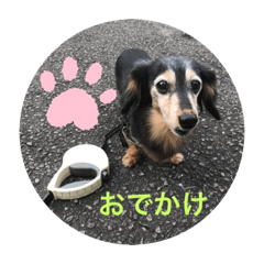 rinsutampu