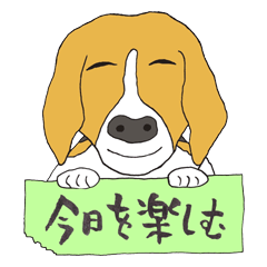 022 Beagle dog + Healthy Life