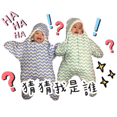 Wei家雙胞胎兄弟