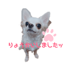 chi_20190903211850