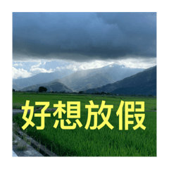 孽緣3彈