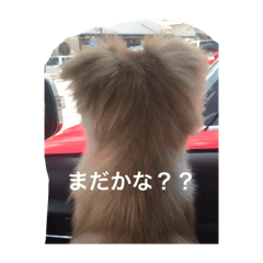 AandR_20190903222144