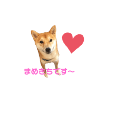 mame_20190903233154