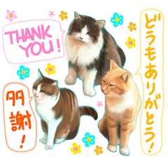 thank you Animals stickers