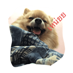 Honey_naka