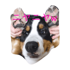 ricky_20190903191119