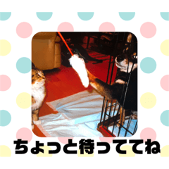 pon_20190904002135