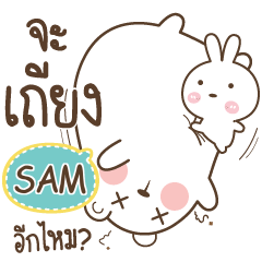 SAM Bear Love Little Rabbit e