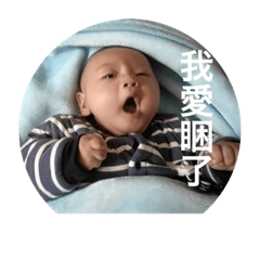 呈呈控