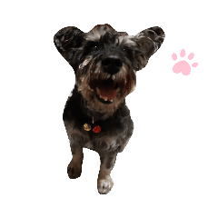 money小舖