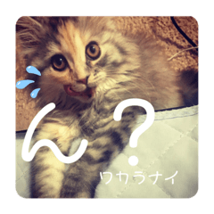mayumi_20190904074208
