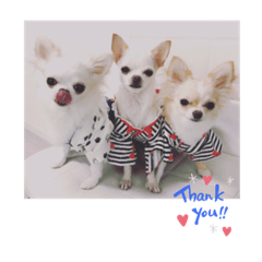 SHIZU_20190903175959
