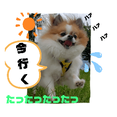 pechan_20190904074803