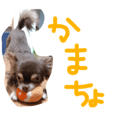 yama_20190904024540